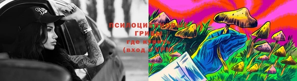 дмт Михайлов