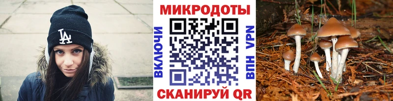 Псилоцибиновые грибы Magic Shrooms  Озёрск 